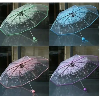 Transparent Umbrella