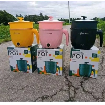 Electric cooking pot